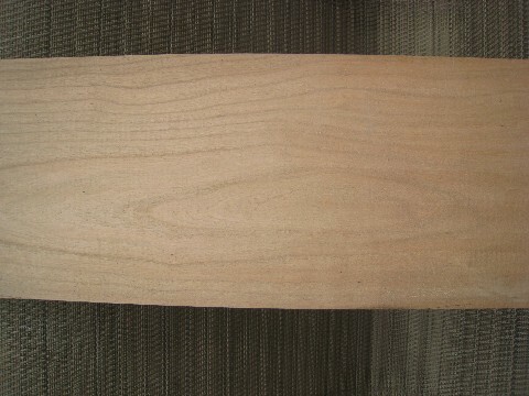 african mahagony